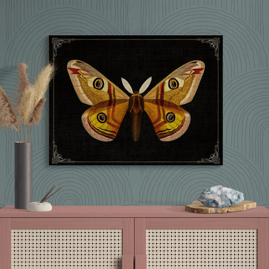 Emperor Moth Vintage Illustration Nature Art