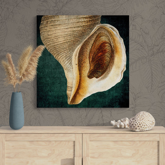 Abstract Shell Antique Illustration 14A - Elegant Jewel-Toned Coastal Canvas Art Print - Retro Reverence