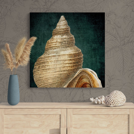 Abstract Shell Antique Illustration 14B - Elegant Jewel-Toned Coastal Canvas Art Print - Retro Reverence