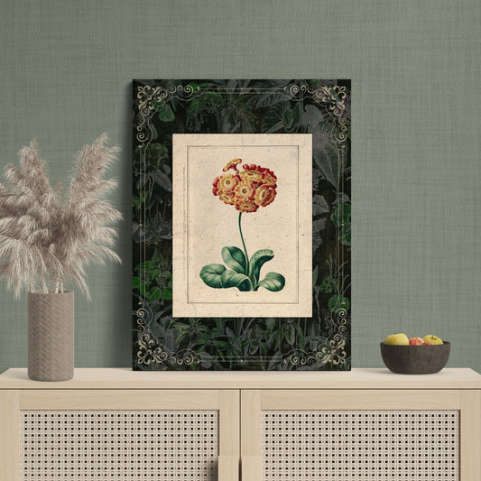 Auricula Vintage Botanical Illustration Floral Art - Retro Reverence