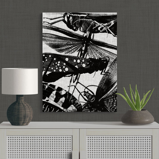 Contemporary Black & White Locust Modern Nature Art - Retro Reverence