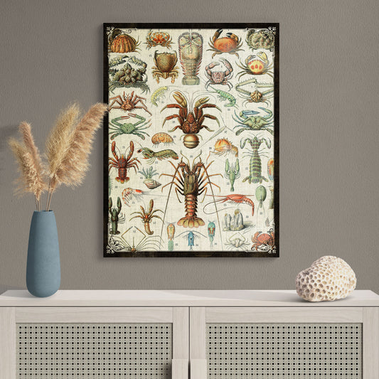 Crustacean Collage Natural History Illustration Coastal Wall Art - Retro Reverence