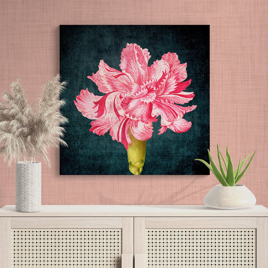 Delicate Pink Carnation Flower Wall Art - Retro Reverence