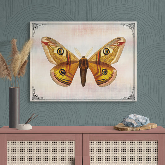 Emperor Moth Vintage Illustration Nature Art - Retro Reverence