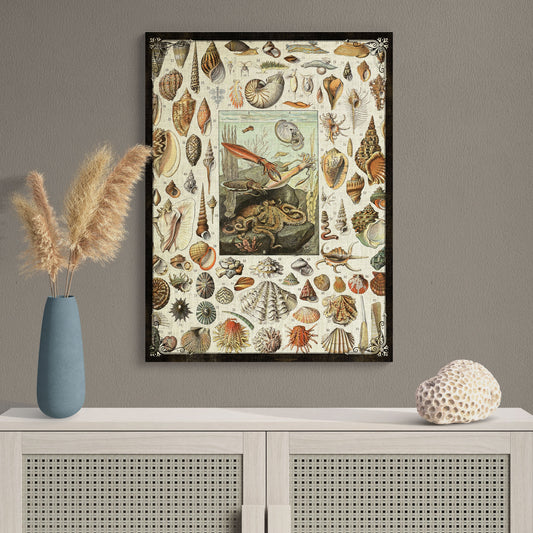 Mollusk Collage Natural History Illustration Coastal Wall Art - Retro Reverence