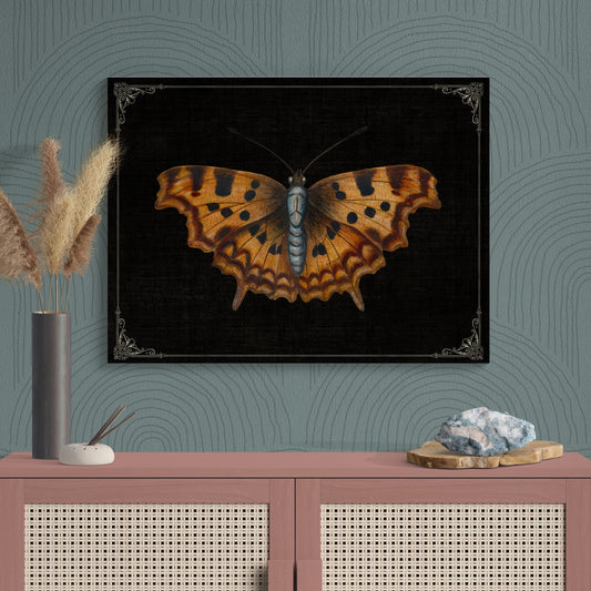 Orange & Brown Butterfly Vintage Illustration Nature Art - Retro Reverence