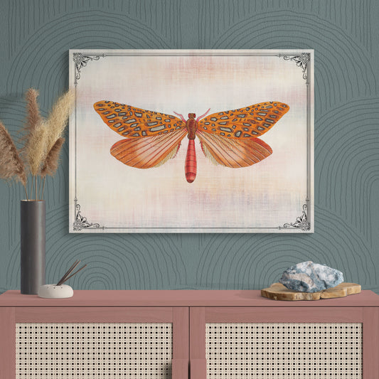 Orange & Turquoise Moth Vintage Illustration Nature Art - Retro Reverence
