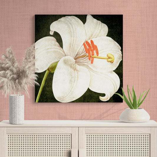 Whimsical White Lily Flower Wall Art - Retro Reverence