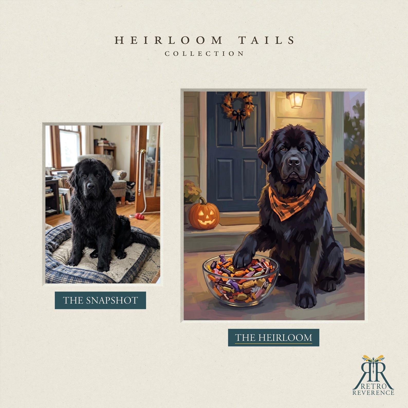 Before and after: a Newfoundland's customer photo transformed into a custom dog portrait in the Heirloom Halloween porch scene.