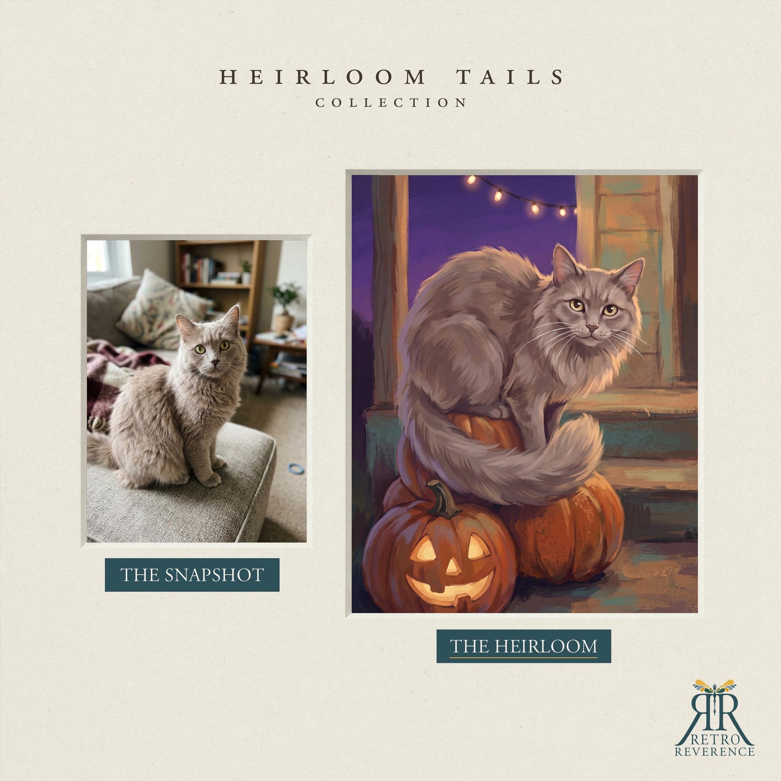 Before and after: a grey longhaired cat's customer photo transformed into a custom cat portrait in the Heirloom Halloween scene.