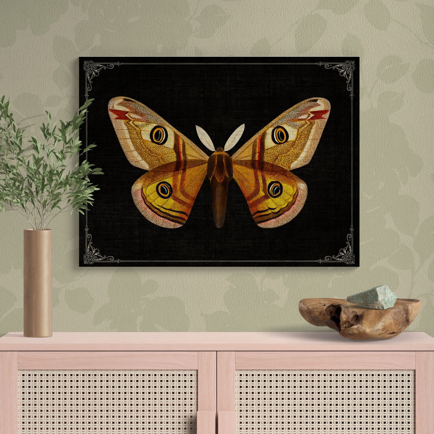 Emperor Moth Vintage Illustration Nature Art