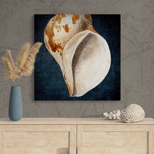 Abstract Shell Antique Illustration 9A - Elegant Jewel-Toned Coastal Canvas Art Print - Retro Reverence
