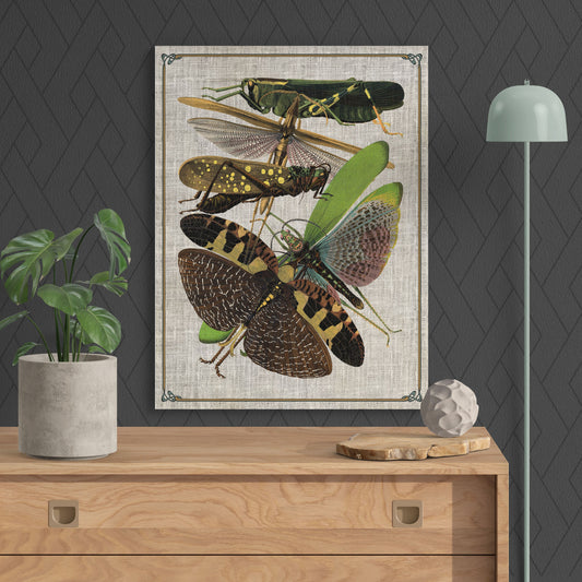 Antique Art Nouveau Locust Insect Collage - Retro Reverence