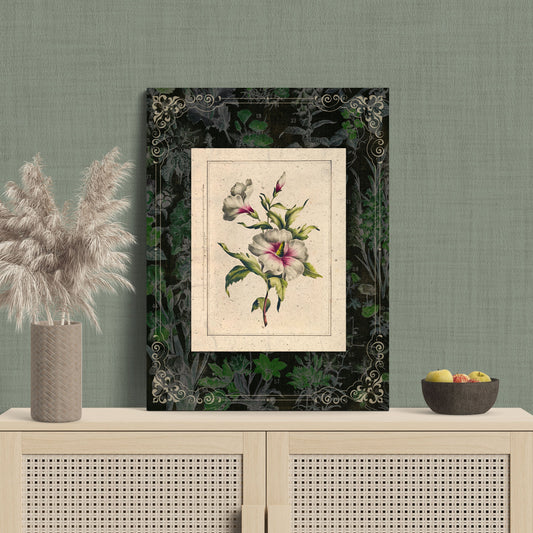 Athaea Frutex Vintage Botanical Illustration Floral Art - Retro Reverence