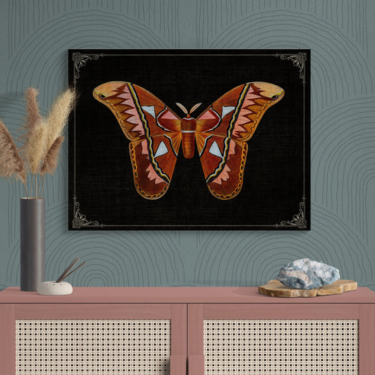 Attacus Atlas Orange Moth Vintage Illustration Nature Art - Retro Reverence