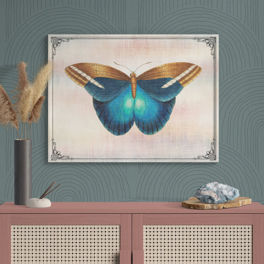 Blue & Brown Butterfly Vintage Illustration Nature Art - Retro Reverence