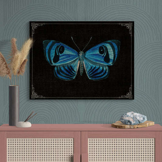 Blue Butterfly Vintage Illustration Nature Art - Retro Reverence