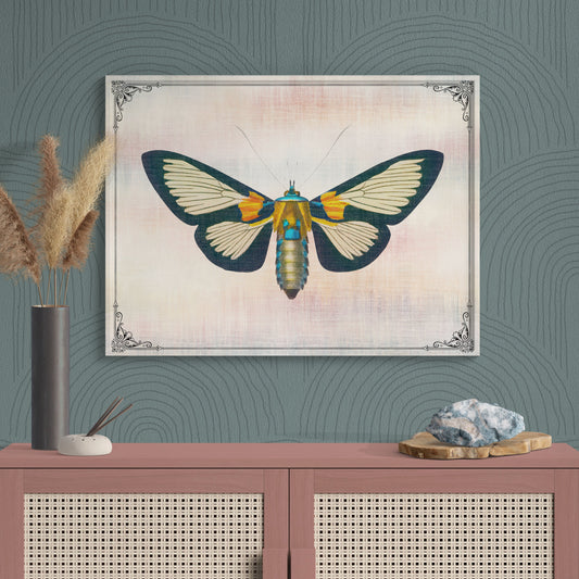 Blue Moth Vintage Illustration Nature Art - Retro Reverence