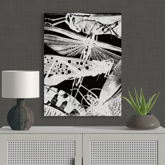 Contemporary Black & White Locust Modern Nature Art - Retro Reverence