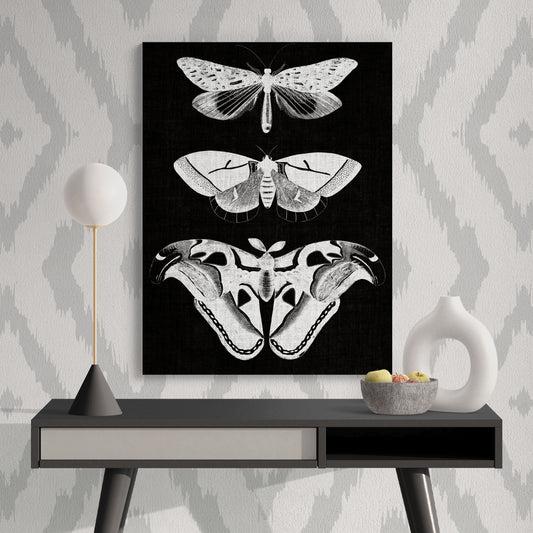 Contemporary Moth Collage Neutral Modern Nature Art - Retro Reverence