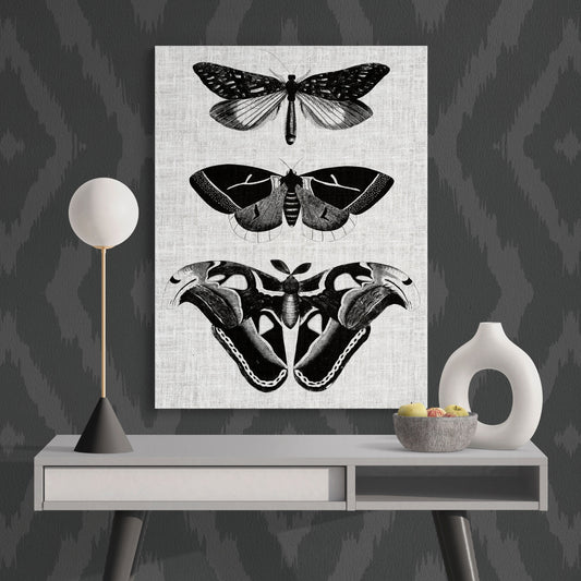 Contemporary Moth Collage Neutral Modern Nature Art - Retro Reverence