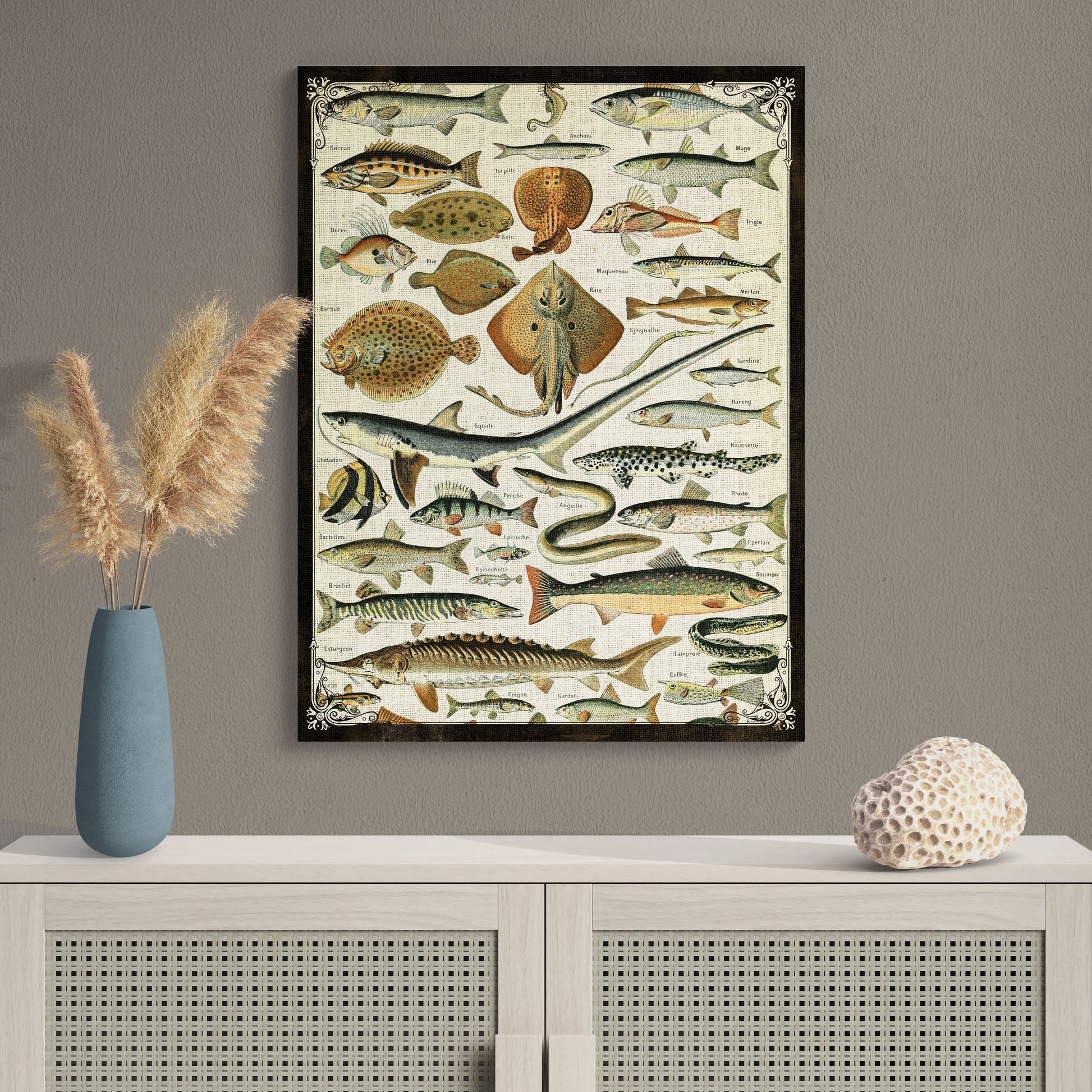 Fish Collage Natural History Illustration Coastal Wall Art - Retro Reverence