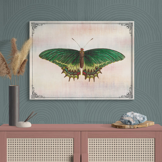 Green Androgeus Swallowtail Butterfly Vintage Illustration Nature Art - Retro Reverence