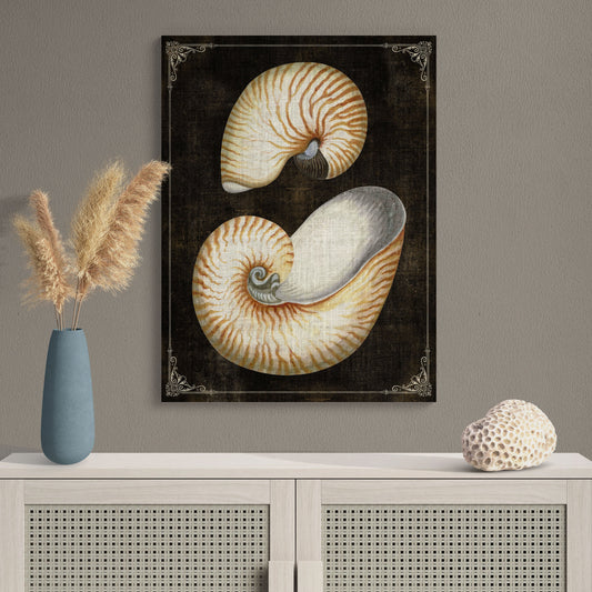 Nautilus Shells Natural History Illustration Coastal Wall Art - Retro Reverence