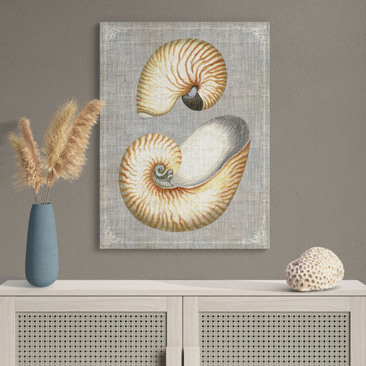 Nautilus Shells Natural History Illustration Coastal Wall Art - Retro Reverence