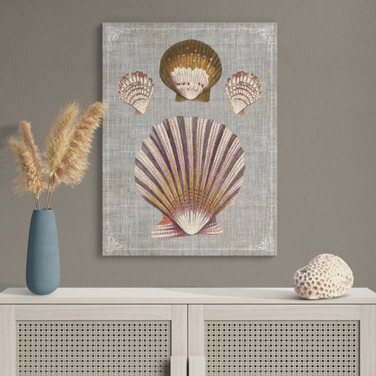 Ostrea Shells Natural History Illustration Coastal Wall Art - Retro Reverence