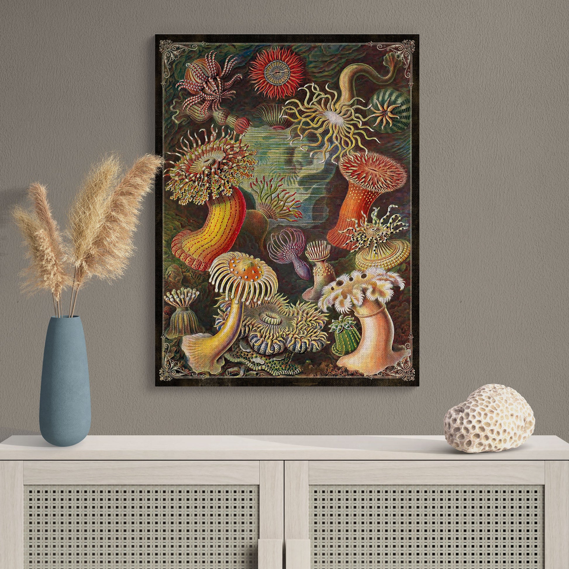 Sea Anemones Natural History Illustration Coastal Wall Art - Retro Reverence