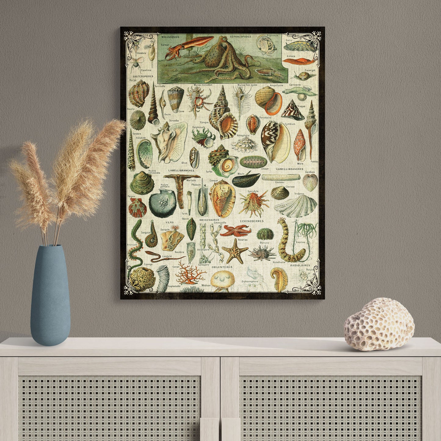 Sea Creatures Collage 2 Natural History Illustration Coastal Wall Art - Retro Reverence