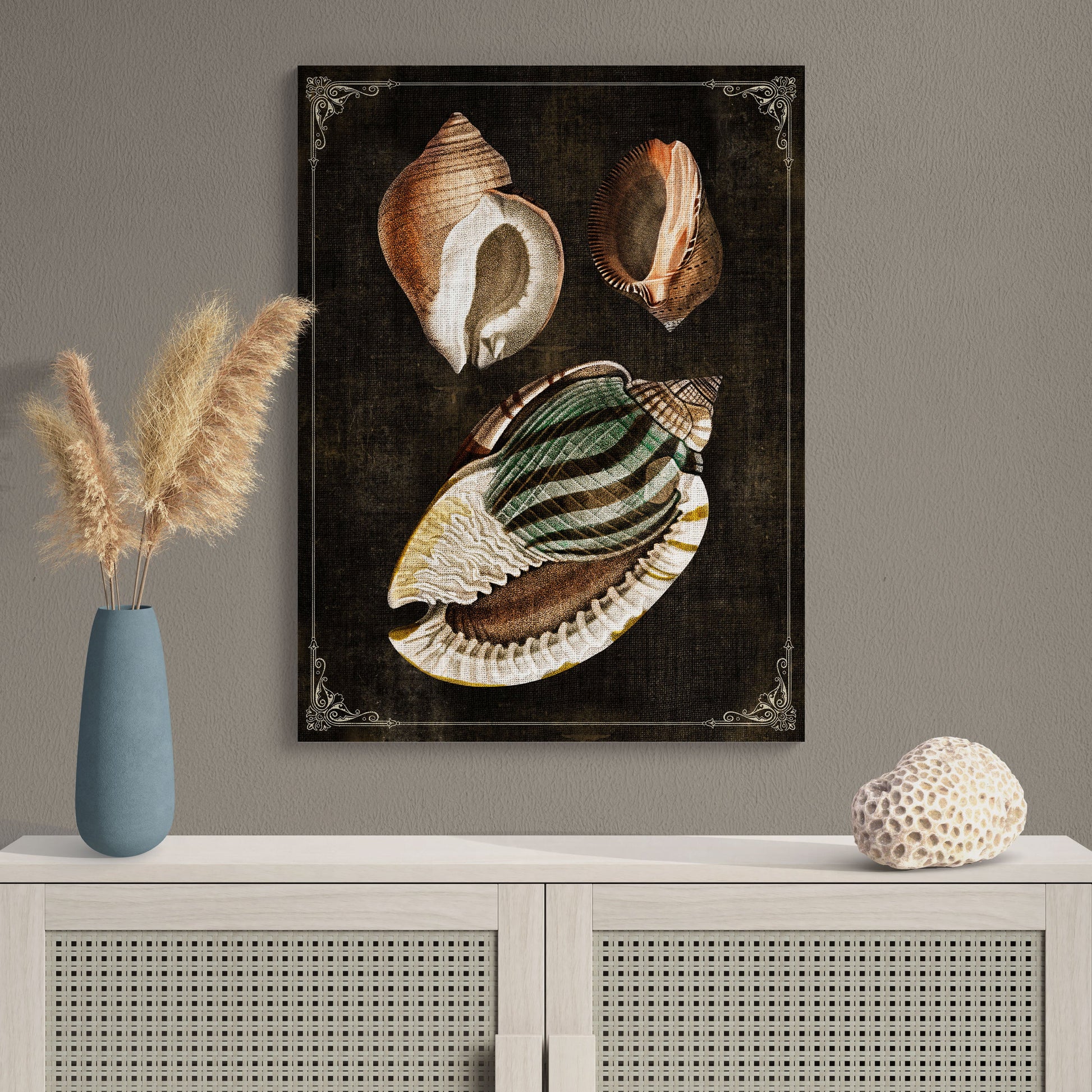 Shell Collage Natural History Illustration Coastal Wall Art - Retro Reverence