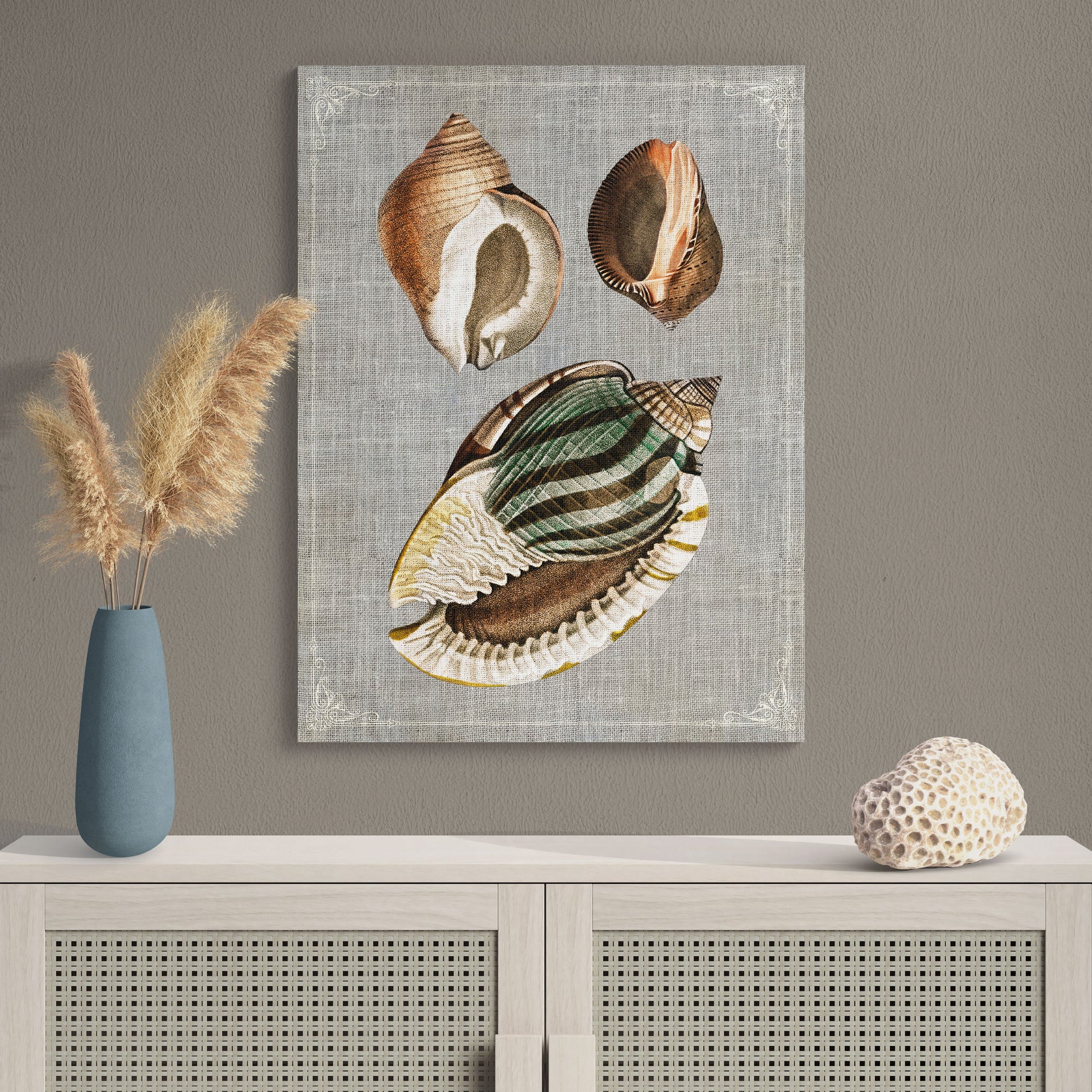 Shell Collage Natural History Illustration Coastal Wall Art - Retro Reverence