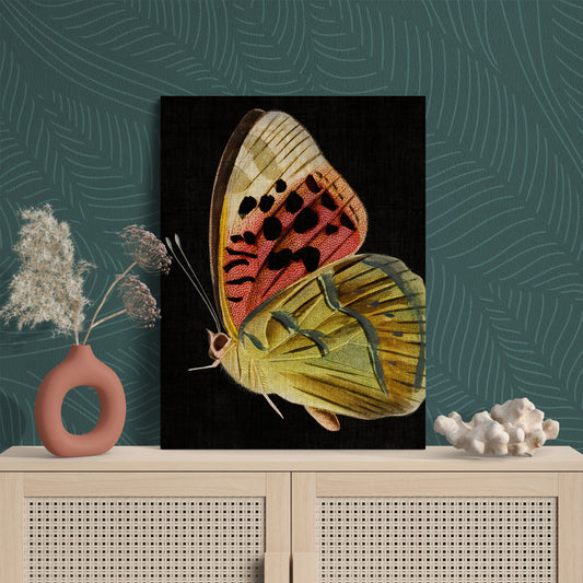 Vintage Pink & Green Butterfly Illustration Nature Art - Retro Reverence