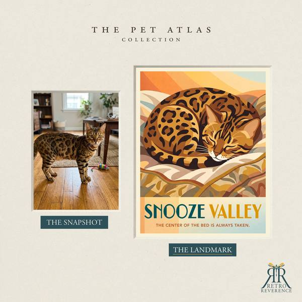 Before and after: a customer photo of their cat beside the finished Snooze Valley travel poster.